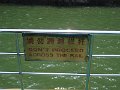 Chinglish (018)